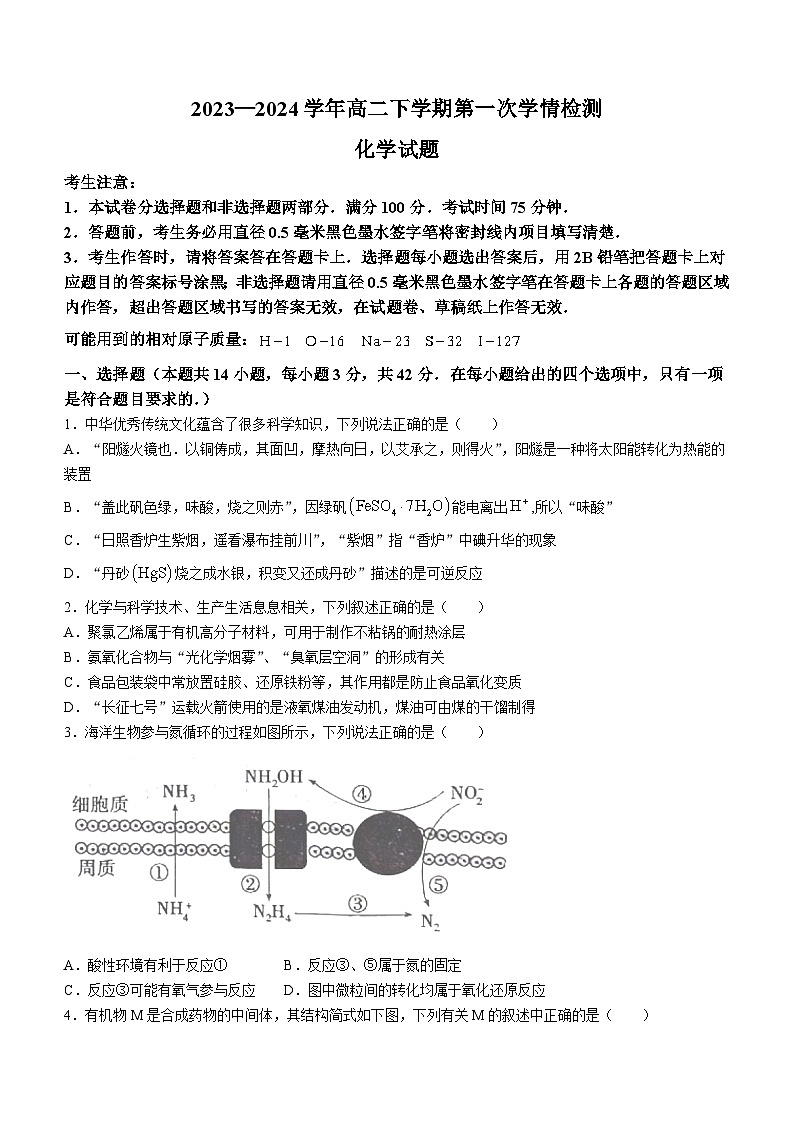 2024安徽师大附中高二下学期2月月考试题化学含解析第1页