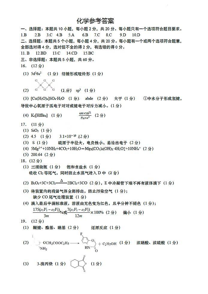 2024届青岛高三下学期一模化学试题+答案01