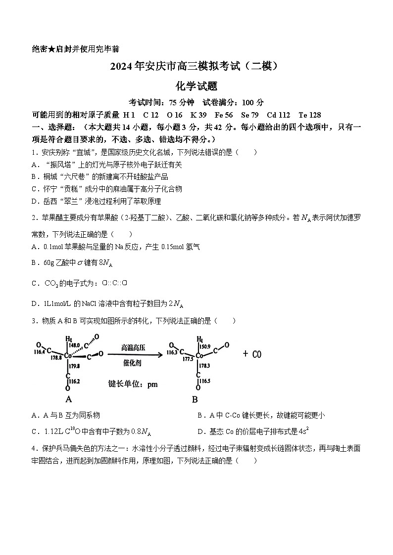 2024年安徽省安庆市高三下学期模拟考试(二模)化学试题(无答案)01