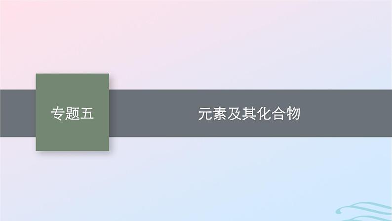 新高考新教材广西专版2024届高考化学二轮总复习专题5元素及其化合物课件01