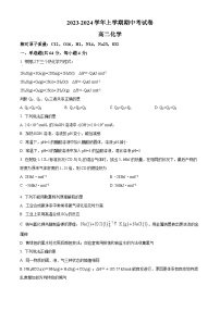 江西省宜春市丰城市东煌学校2023-2024学年高二上学期11月期中化学试题（原卷版+解析版）