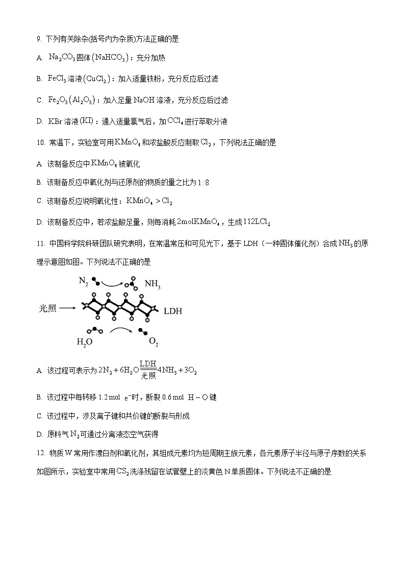 2024海口中学高一下学期开学考试化学含解析03