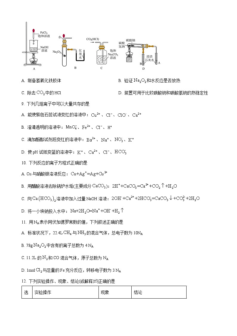 广东省深圳市人大附中深圳学校2023-2024学年高一上学期期中考试化学试题（原卷版+解析版）03