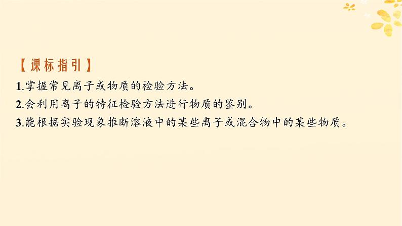 备战2025届新高考化学一轮总复习第10章化学实验基础和综合探究第55讲离子的检验物质的鉴别与推断课件02