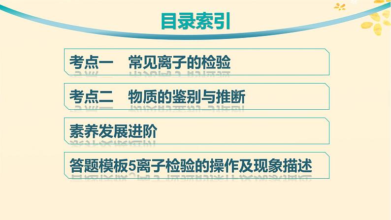 备战2025届新高考化学一轮总复习第10章化学实验基础和综合探究第55讲离子的检验物质的鉴别与推断课件03