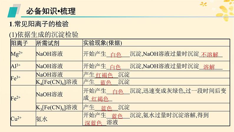 备战2025届新高考化学一轮总复习第10章化学实验基础和综合探究第55讲离子的检验物质的鉴别与推断课件05