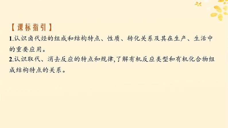 备战2025届新高考化学一轮总复习第9章有机化学基础第48讲卤代烃课件02