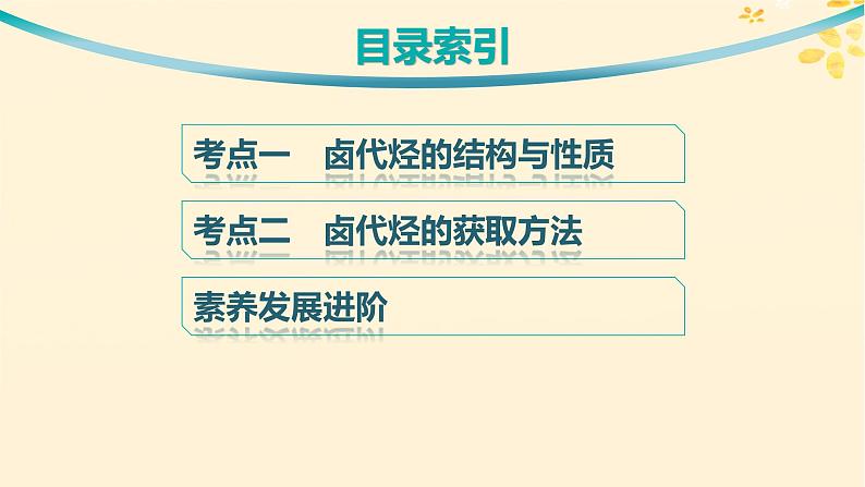 备战2025届新高考化学一轮总复习第9章有机化学基础第48讲卤代烃课件03