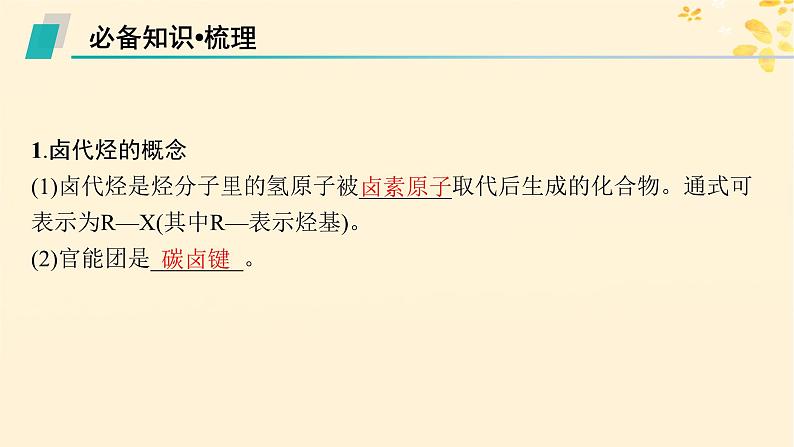 备战2025届新高考化学一轮总复习第9章有机化学基础第48讲卤代烃课件05