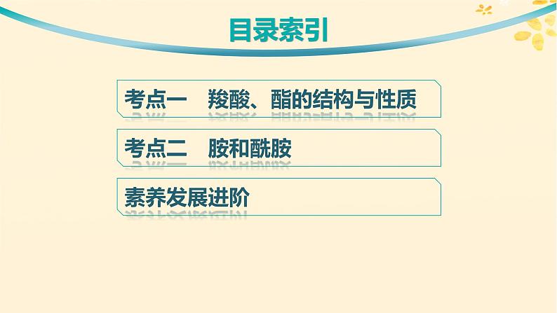 备战2025届新高考化学一轮总复习第9章有机化学基础第50讲羧酸及其衍生物课件03