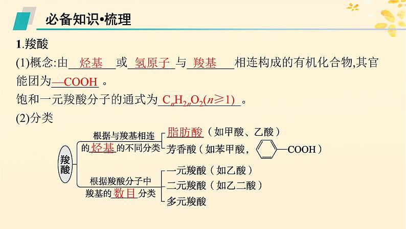 备战2025届新高考化学一轮总复习第9章有机化学基础第50讲羧酸及其衍生物课件05