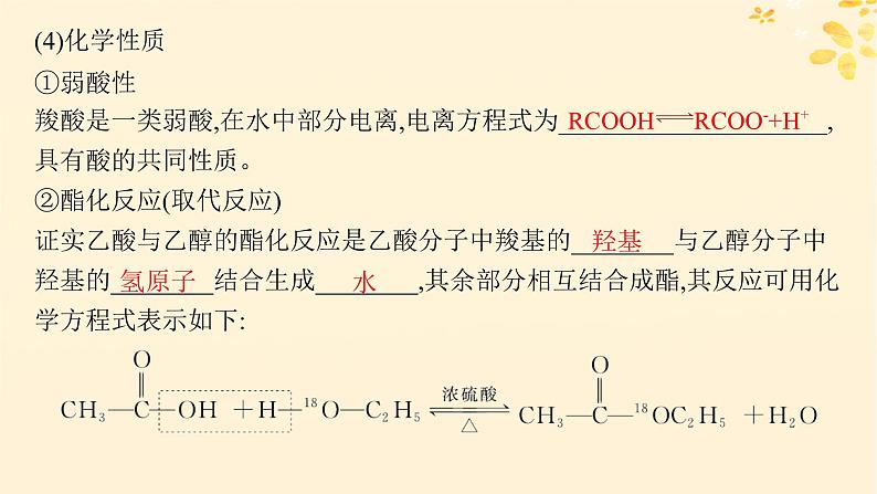 备战2025届新高考化学一轮总复习第9章有机化学基础第50讲羧酸及其衍生物课件07