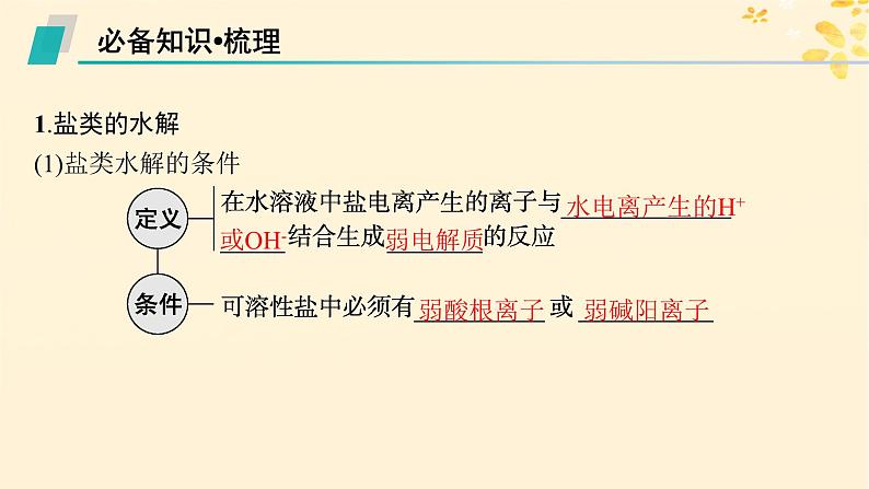 备战2025届新高考化学一轮总复习第8章水溶液中的离子反应与平衡第42讲盐类的水解课件05