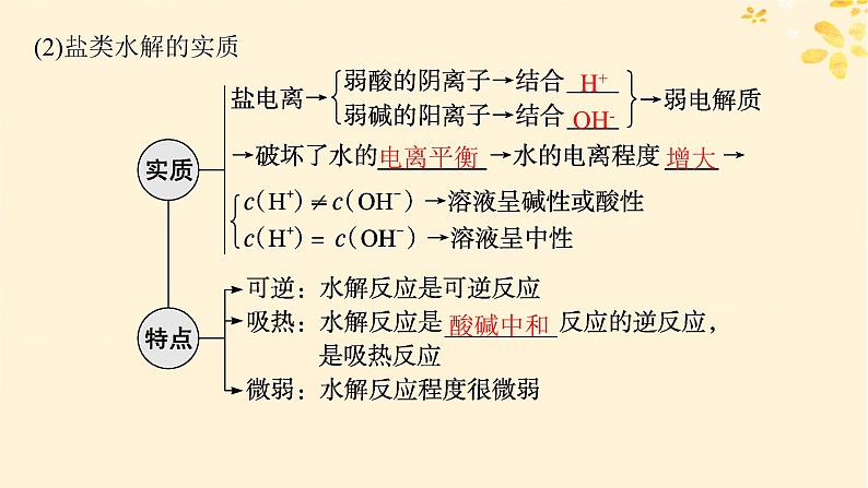 备战2025届新高考化学一轮总复习第8章水溶液中的离子反应与平衡第42讲盐类的水解课件06