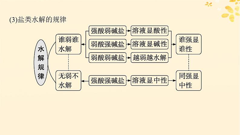 备战2025届新高考化学一轮总复习第8章水溶液中的离子反应与平衡第42讲盐类的水解课件07