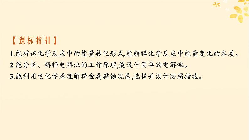 备战2025届新高考化学一轮总复习第6章化学反应与能量第32讲电解池金属的腐蚀与防护课件02