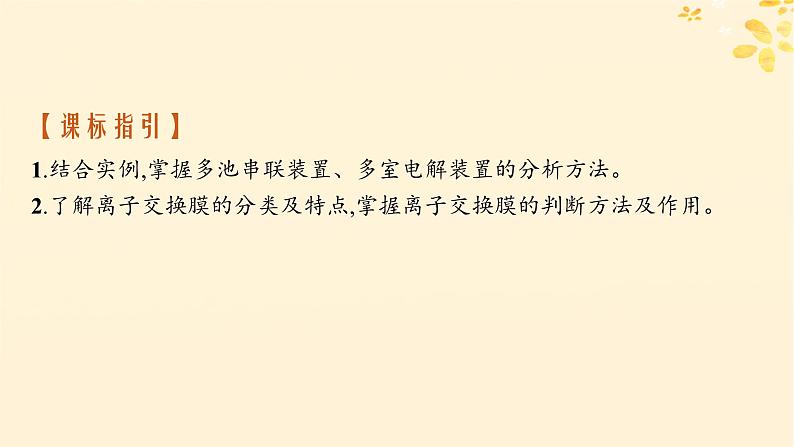 备战2025届新高考化学一轮总复习第6章化学反应与能量第33讲多池或多室电化学装置及分析课件第2页