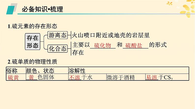 备战2025届新高考化学一轮总复习第4章非金属及其化合物第17讲硫及其氧化物课件05