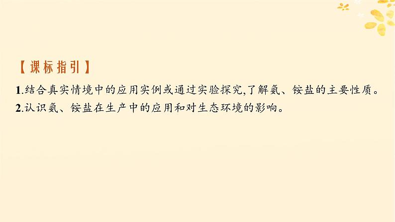 备战2025届新高考化学一轮总复习第4章非金属及其化合物第20讲氨和铵盐课件02