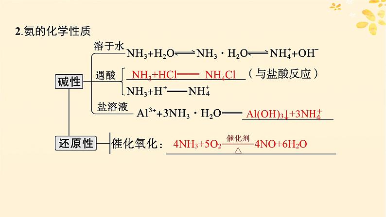 备战2025届新高考化学一轮总复习第4章非金属及其化合物第20讲氨和铵盐课件06