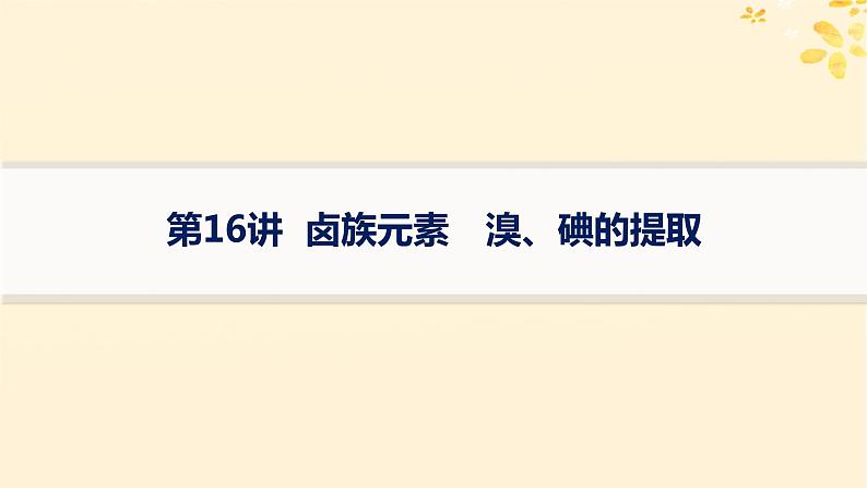 备战2025届新高考化学一轮总复习第4章非金属及其化合物第16讲卤族元素溴碘的提取课件01