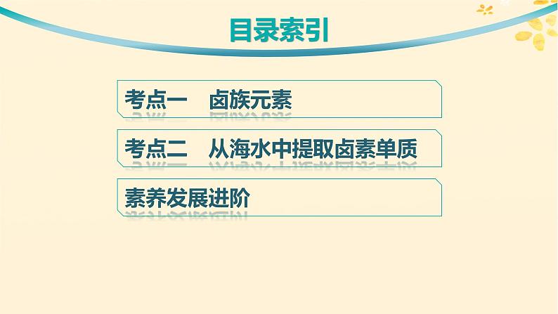 备战2025届新高考化学一轮总复习第4章非金属及其化合物第16讲卤族元素溴碘的提取课件03