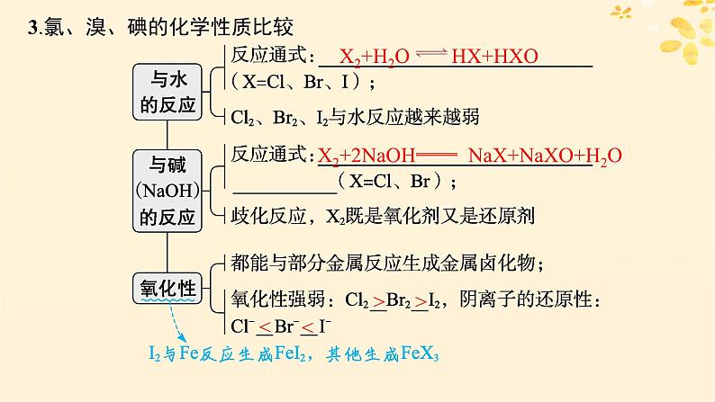 备战2025届新高考化学一轮总复习第4章非金属及其化合物第16讲卤族元素溴碘的提取课件06