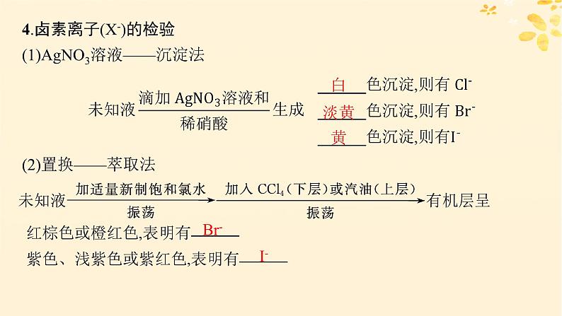 备战2025届新高考化学一轮总复习第4章非金属及其化合物第16讲卤族元素溴碘的提取课件07