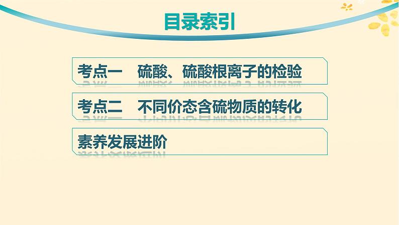 备战2025届新高考化学一轮总复习第4章非金属及其化合物第18讲硫酸含硫物质之间的转化课件03