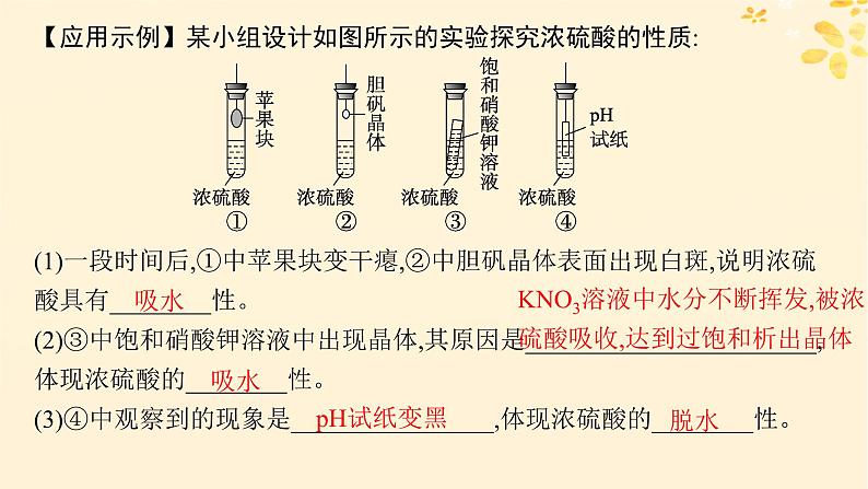 备战2025届新高考化学一轮总复习第4章非金属及其化合物第18讲硫酸含硫物质之间的转化课件08