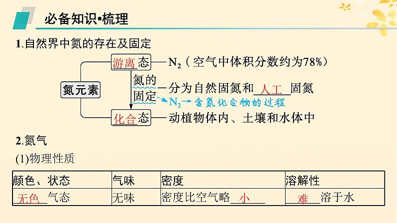 备战2025届新高考化学一轮总复习第4章非金属及其化合物第19讲氮及其氧化物硝酸课件05