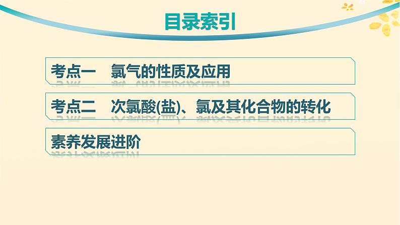 备战2025届新高考化学一轮总复习第4章非金属及其化合物第14讲氯及其化合物课件第3页