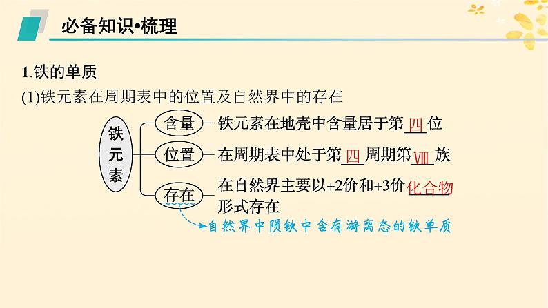 备战2025届新高考化学一轮总复习第3章金属及其化合物第10讲铁及其氧化物氢氧化物课件05