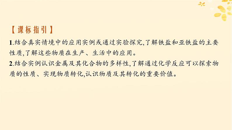 备战2025届新高考化学一轮总复习第3章金属及其化合物第11讲铁盐和亚铁盐含铁物质的转化课件02