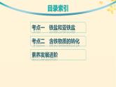 备战2025届新高考化学一轮总复习第3章金属及其化合物第11讲铁盐和亚铁盐含铁物质的转化课件
