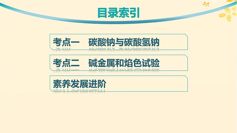 备战2025届新高考化学一轮总复习第3章金属及其化合物第9讲碳酸钠与碳酸氢钠碱金属课件03