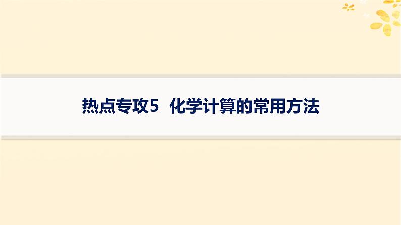 备战2025届新高考化学一轮总复习第2章物质的量热点专攻5化学计算的常用方法课件01