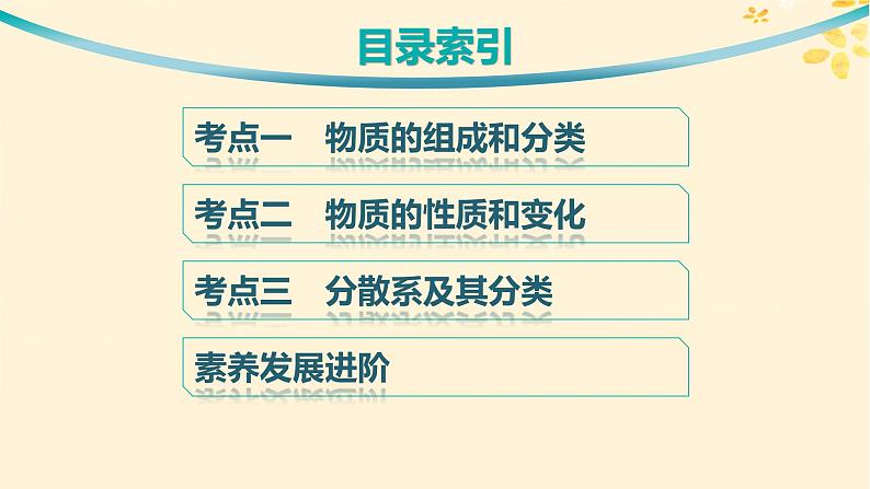 备战2025届新高考化学一轮总复习第1章物质及其变化第1讲物质的组成分类及性质课件第3页