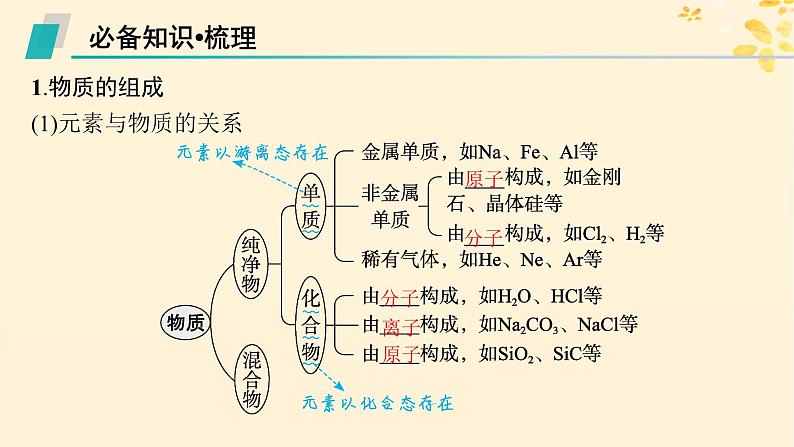 备战2025届新高考化学一轮总复习第1章物质及其变化第1讲物质的组成分类及性质课件第5页