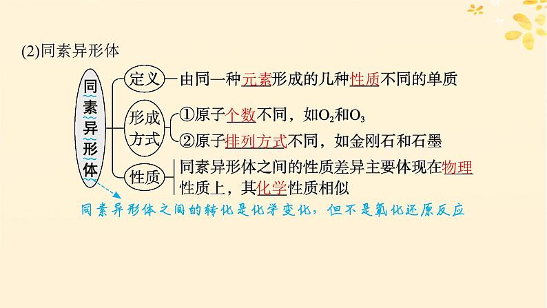 备战2025届新高考化学一轮总复习第1章物质及其变化第1讲物质的组成分类及性质课件第6页