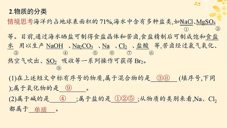 备战2025届新高考化学一轮总复习第1章物质及其变化第1讲物质的组成分类及性质课件第7页