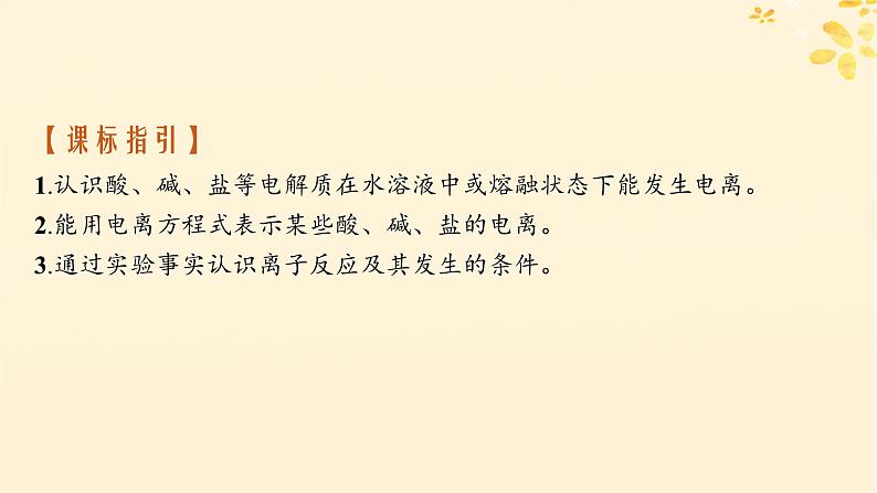 备战2025届新高考化学一轮总复习第1章物质及其变化第2讲电解质与离子反应课件02