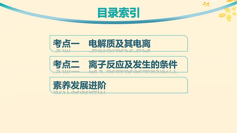 备战2025届新高考化学一轮总复习第1章物质及其变化第2讲电解质与离子反应课件03