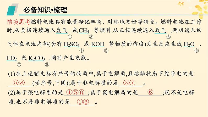 备战2025届新高考化学一轮总复习第1章物质及其变化第2讲电解质与离子反应课件05