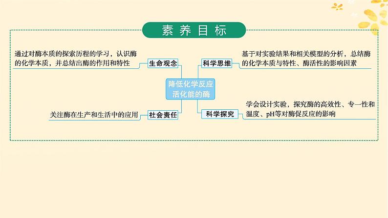 备战2025届新高考生物一轮总复习第3单元细胞的代谢第10讲降低化学反应活化能的酶课件第2页