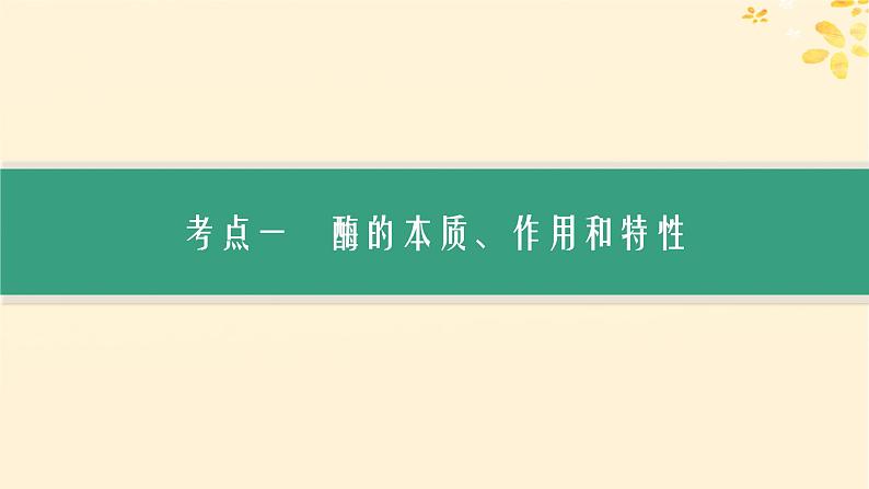 备战2025届新高考生物一轮总复习第3单元细胞的代谢第10讲降低化学反应活化能的酶课件第3页