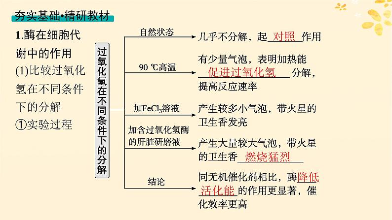 备战2025届新高考生物一轮总复习第3单元细胞的代谢第10讲降低化学反应活化能的酶课件第4页