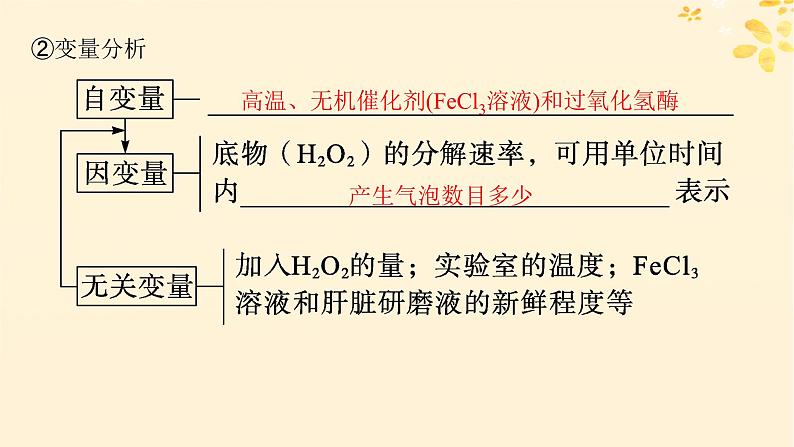 备战2025届新高考生物一轮总复习第3单元细胞的代谢第10讲降低化学反应活化能的酶课件第5页