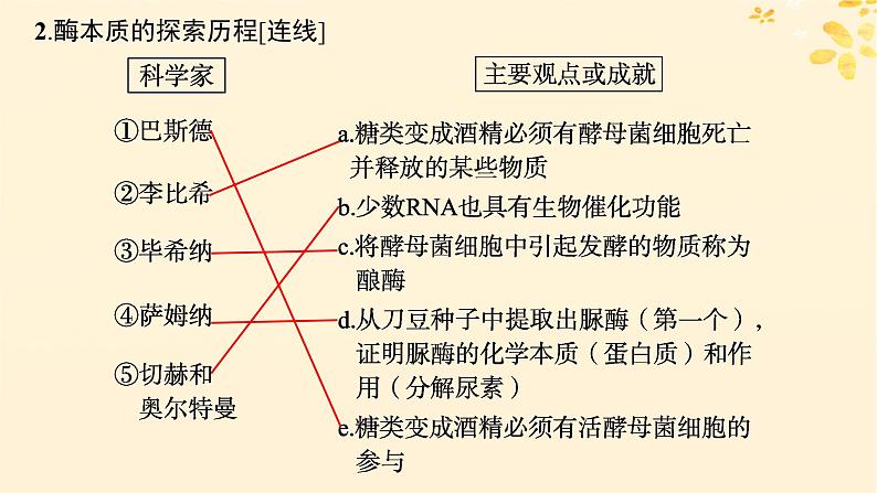 备战2025届新高考生物一轮总复习第3单元细胞的代谢第10讲降低化学反应活化能的酶课件第8页