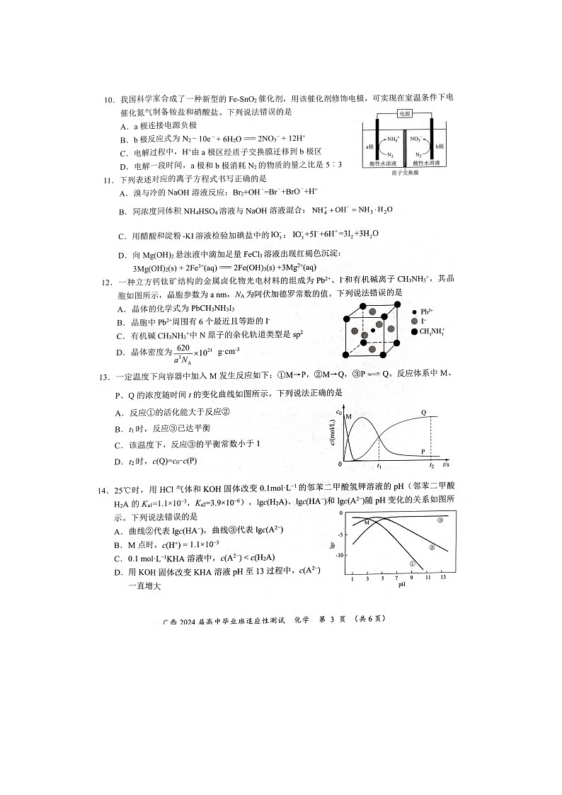 2024玉林市三模高三化学试卷和答案第3页